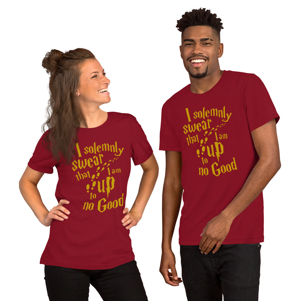 I Solemnly Swear t-shirt - The Sandy Merchant