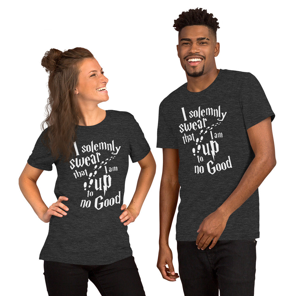 I Solemnly Swear t-shirt - The Sandy Merchant