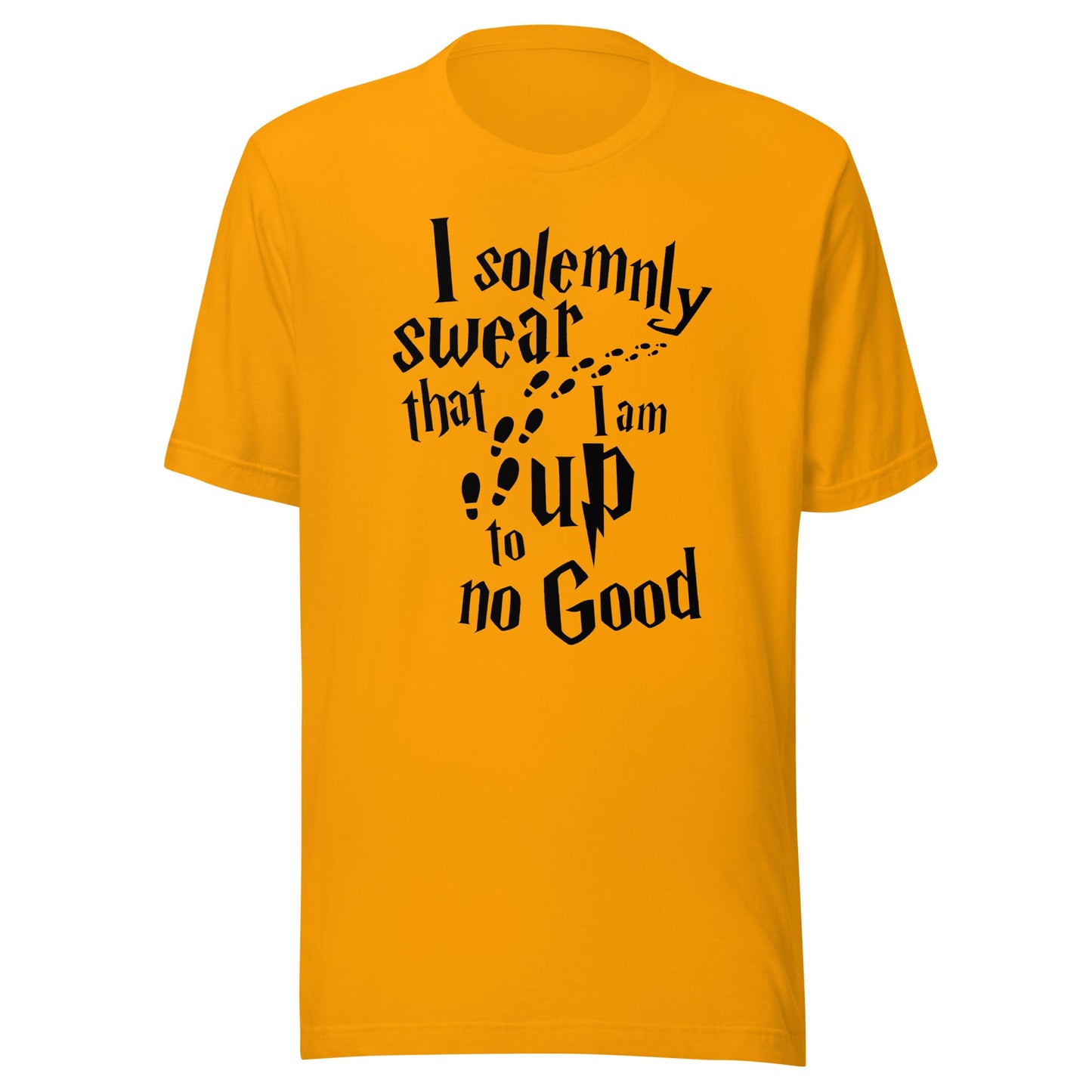 I Solemnly Swear t-shirt - The Sandy Merchant